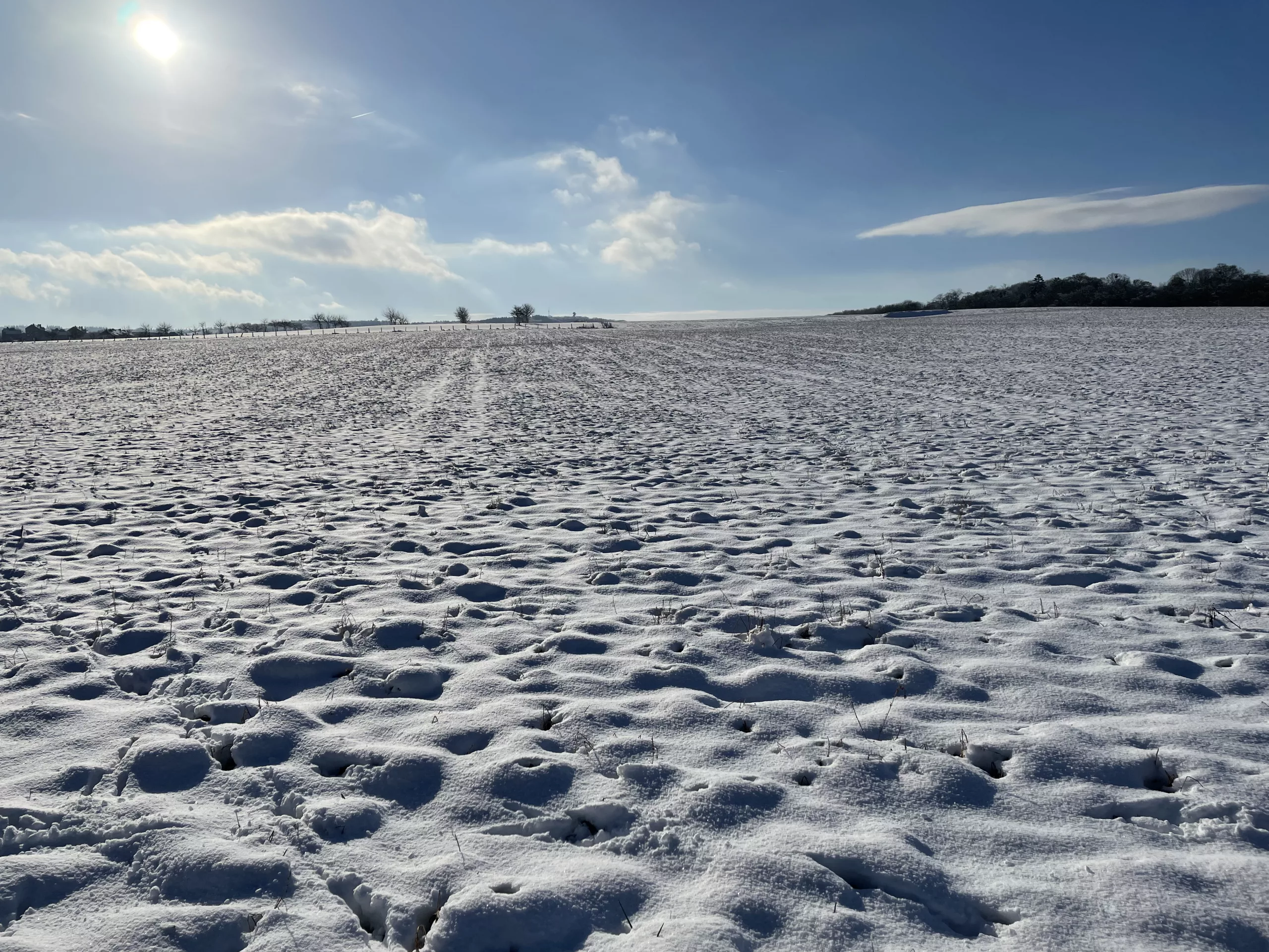 Weihnachtspause bis ins neue Jahr